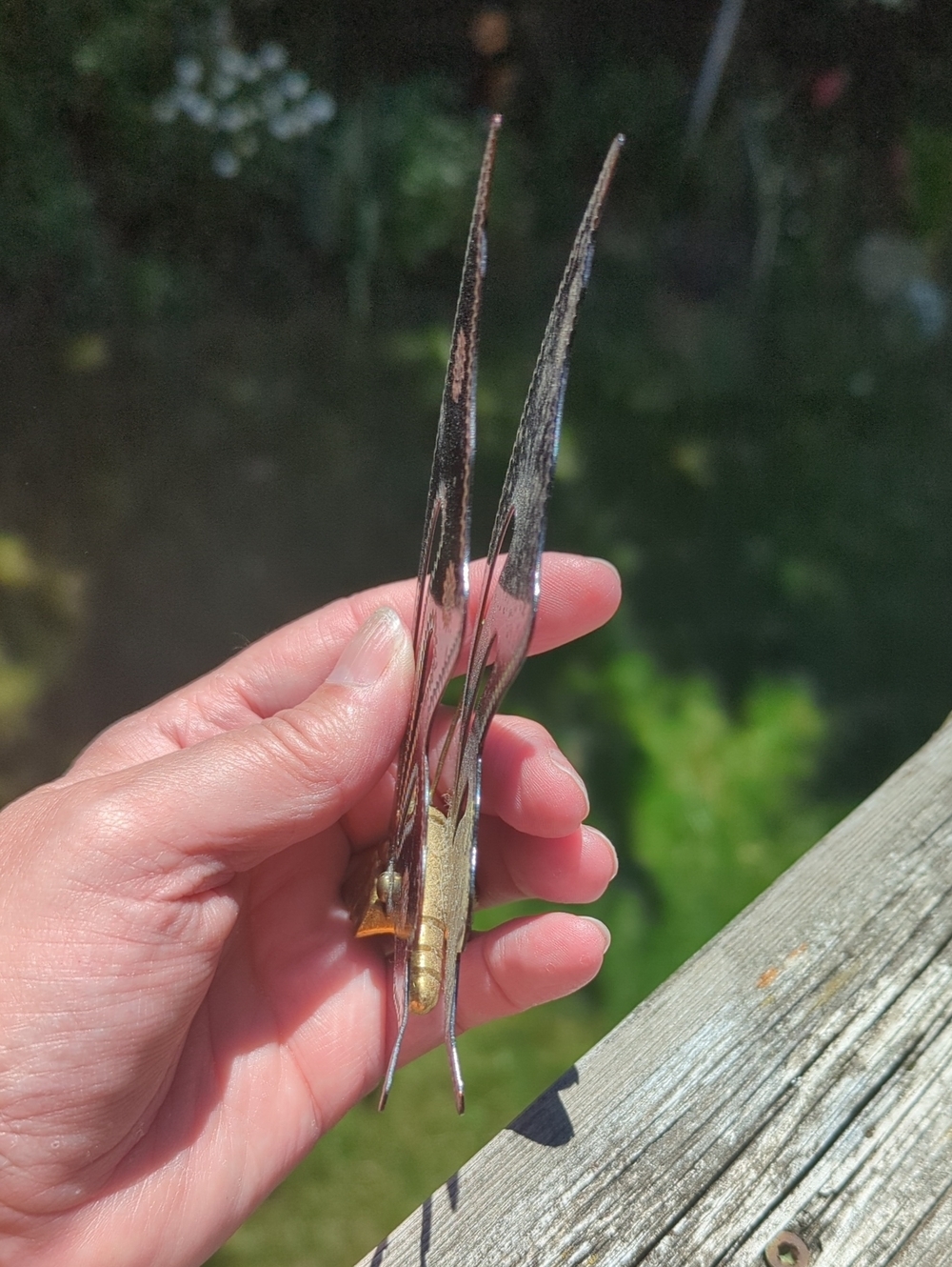 Hand Crafted Metal Butterfly - Picture 5 of 8